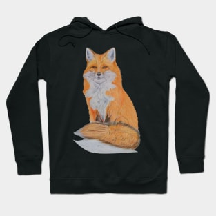 Fox Hoodie